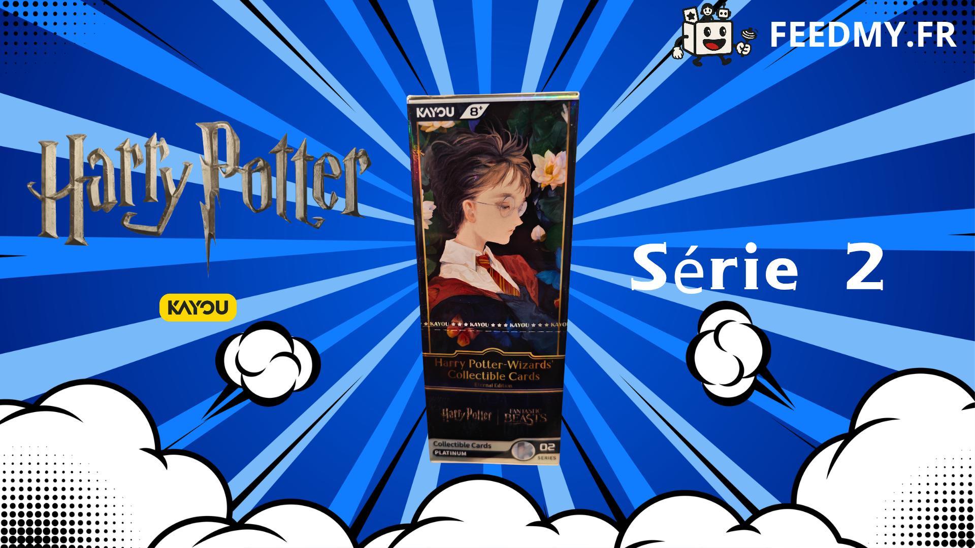 Harry Potter Série 2 - Kayou